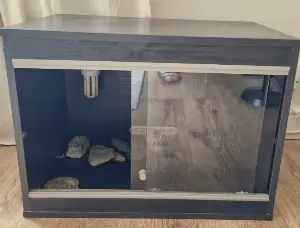 Gallery view 4 of Horsfield Tortoise Oogway