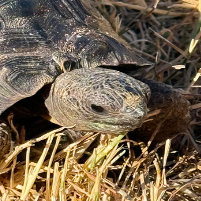 Profile picture for Lee